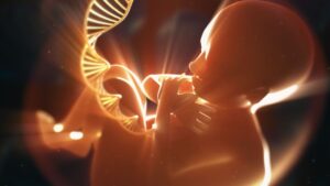 Fetal Microchimerism